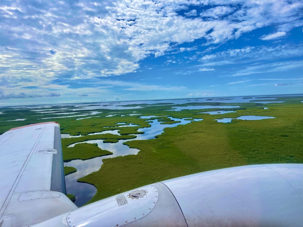 The Adventures of NASA Scientists through the Florida Marshes